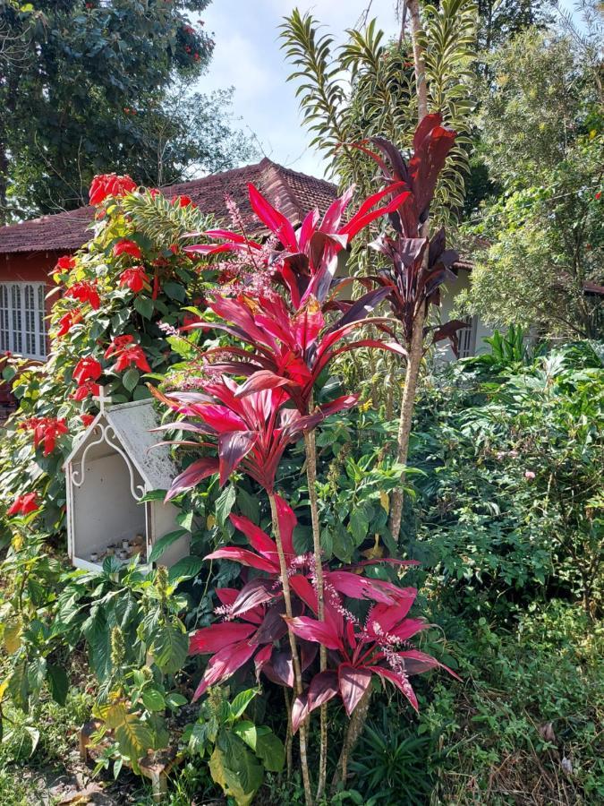 Robin Woods Homestay Sakleshpur Extérieur photo