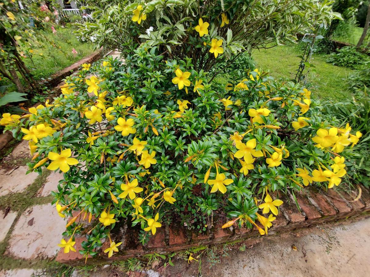 Robin Woods Homestay Sakleshpur Extérieur photo