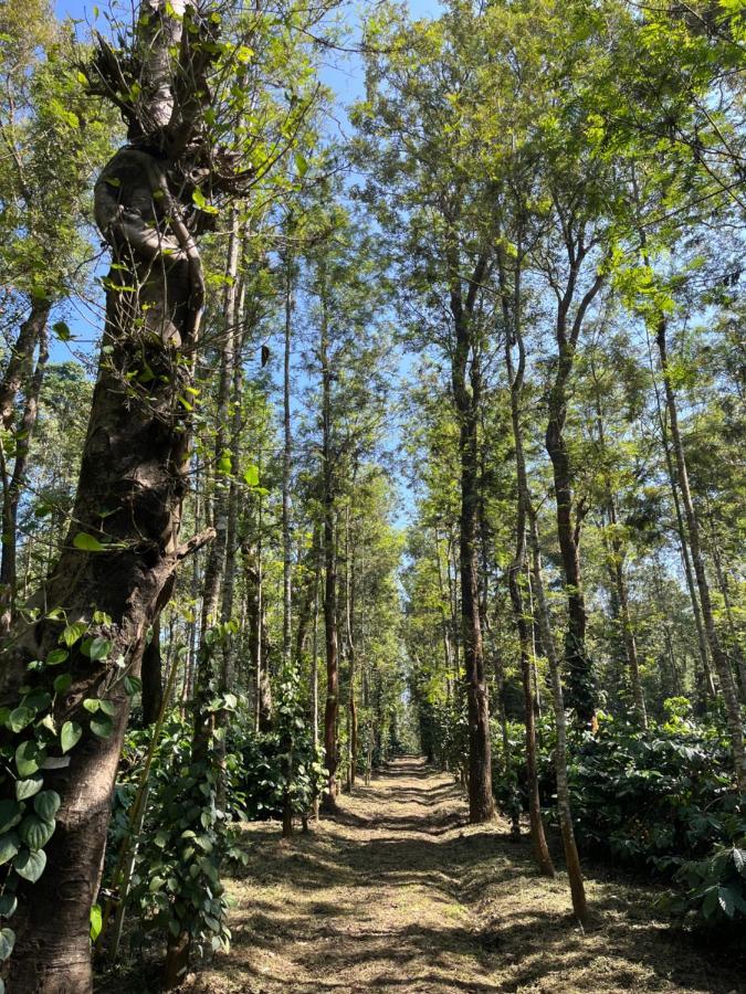 Robin Woods Homestay Sakleshpur Extérieur photo
